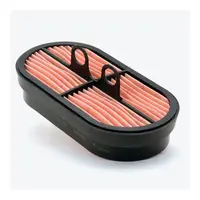 Filtru Aer P600975, Lungime 209,3 mm, Inaltime 39,6 mm, Donaldson