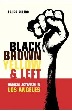 Black, Brown, Yellow, and Left: Radical Activism in Los Angeles Volume 19