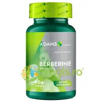 Berberina 500mg 90cps