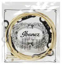 Corzi de chitară acustică Ibanez - IACS6C, 12-53, auriu