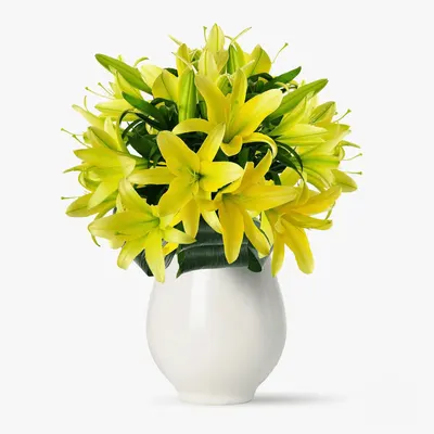 Buchet de 9 crini asiatici galbeni