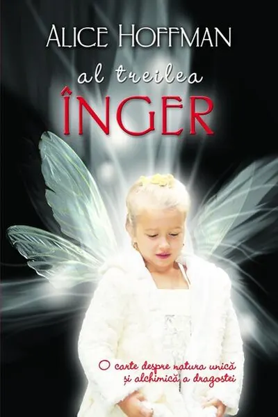 Al treilea înger - Hardcover - Alice Hoffman