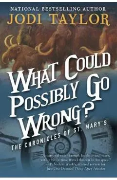 What Could Possibly Go Wrong?: The Chronicles of St. Mary's Book Six