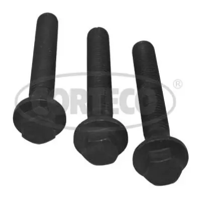 Set surub, disc curea-arbore cotit CORTECO 80004867