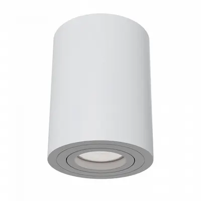 Plafoniera, lampa tavan AlfanC016CL-01W