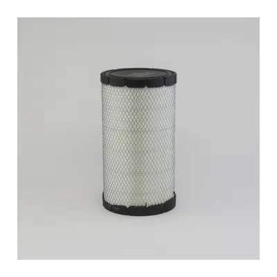 Filtru Aer Donaldson P635447