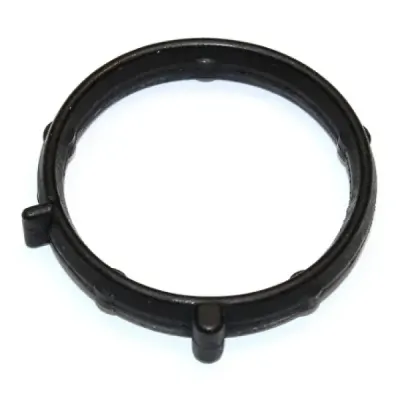 Garnitura, carcasa galerie admisie ELRING 375.240