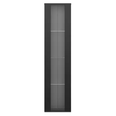 Vitrină multifuncțională cu perete despărțitor din sticlă, lumină LED cu schimbare de culoare, 40x29x170 cm, Negru