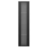 Vitrină multifuncțională cu perete despărțitor din sticlă, lumină LED cu schimbare de culoare, 40x29x170 cm, Negru