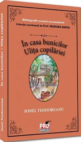 In casa bunicilor. Ulita copilariei