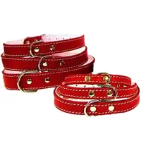 Pet Expert Zgarda Pasla cm Rosu - nr-5