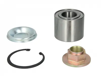 Kit rulment roata Spate Dreapta Stanga (30x62x48) potrivit DACIA DUSTER, DUSTER SUV, LOGAN, LOGAN EXPRESS, LOGAN II, LOGAN MCV, SANDERO, SANDERO II; RENAULT CLIO IV 0.9-Electric 03.84