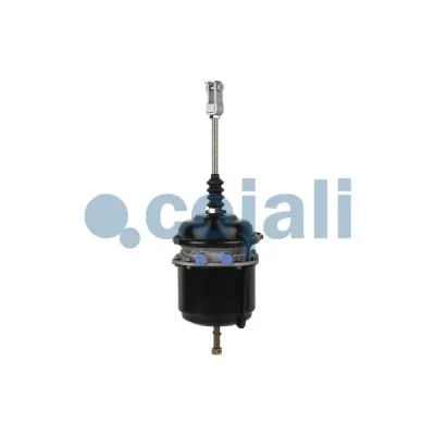 Cojali 2251408