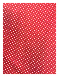 Paturica dubla de vara bebelusi DeLuxe 98x78 cm Buline pe rosu
