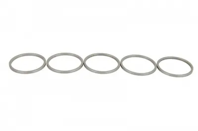 Saiba pentru DENSO pret pt 5 buc (diametru interior 21,5mm, diametru exterior 24,3mm, grosime 1,59mm)