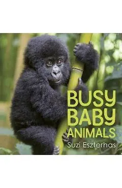Busy Baby Animals