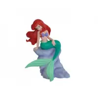 Ariel pe stanca