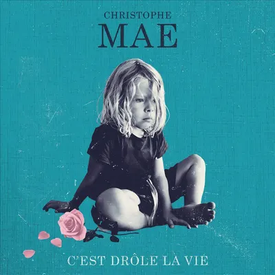C'est Drole La Vie