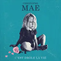 C'est Drole La Vie