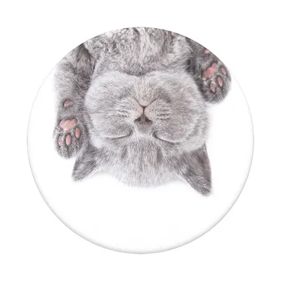 Accesoriu de telefon - PopGrip - Cat Nap
