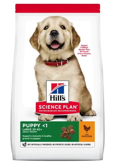 Hrana uscata caini, Hill's Science Plan Canine Puppy Large Breed Chicken, 14.5 kg