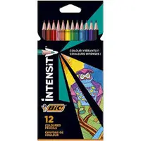 Creioane color, 12culori, mina ultra-rezistenta, Intensity, Bic Evolution