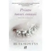 Printre tonuri cenusii