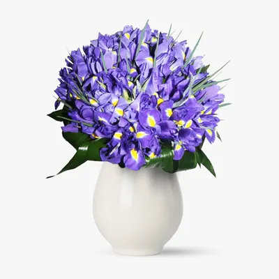 Buchet de 65 irisi mov