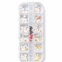 Set nail art manichiura Caviar si flori 3d NailsUp