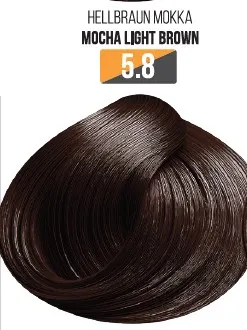 Vopsea Profesionala Fara Amoniac EVOQUE USA, Nuanta 5.8 MOCHA LIGHT BROWN - Cu Ulei de Argan si 12 Aminoacizi, 100 ml - Evoque