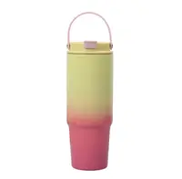 Termos Multicolor, Otel Inoxidabil, cu Pai si Maner, Model 2, 900 ml,MIX14833