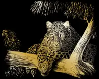 Set de gravură Royal Gold - Leopard, 20 x 25 cm