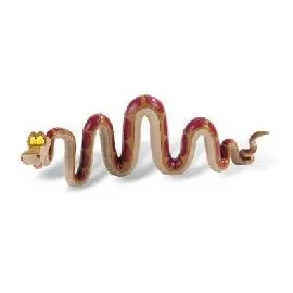 Kaa