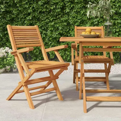 vidaXL Scaune pliante 2 buc 55x62x90 cm lemn masiv de tec