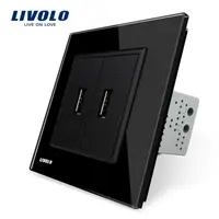 Priza dubla USB Negru