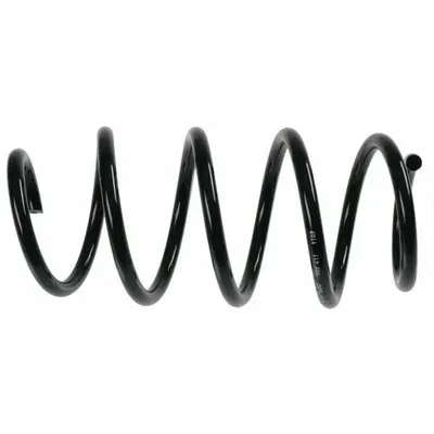 Arc spiral SACHS 998 411