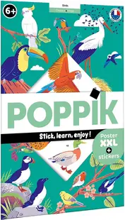 Poster cu stickere Poppik Discovery - Păsări