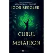 Cubul lui Metatron. Continuarea bestsellerului Apocalipsa dupa Charles