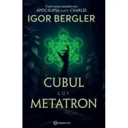 Cubul lui Metatron. Continuarea bestsellerului Apocalipsa dupa Charles