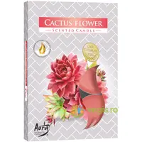 Set Lumanari Tip Pastila Floare de Cactus 6 buc.