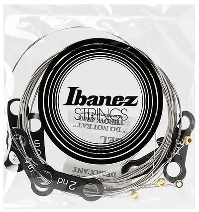 Corzi de chitară electrică Ibanez - IEGS6, 09-42, argintiu