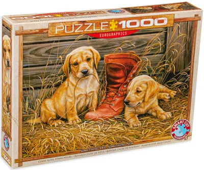 Puzzle Eurographics din 1000 de piese - Ceva vechi, ceva nou, Rozmari Millette