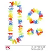 Set hawaii multicolor