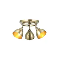 Wyatt 3lt Round spotlight