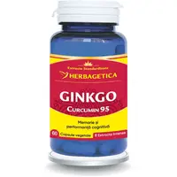 Ginkgo Curcumin 95 60cps