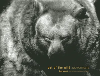 Out of the Wild: Zoo Portraits