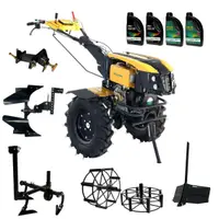 ProGARDEN Pachet Campo 1273 Alpine V2, Motocultor 12CP + PRS20-45 Prasitoare+Plug bilonat/rarita +PR2B-31 Plug reversibil+Adaptor + 2 Roti metalice 540x170 + 4 L Ulei