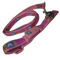 Pet Expert Zgarda/Lesa 2.5X120 cm 1037A 2.5