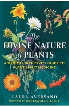The Divine Nature of Plants: A Medical Intuitive's Guide to Plant Spirit Medicine