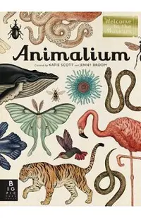Animalium: Welcome to the Museum